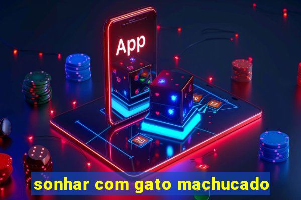 sonhar com gato machucado